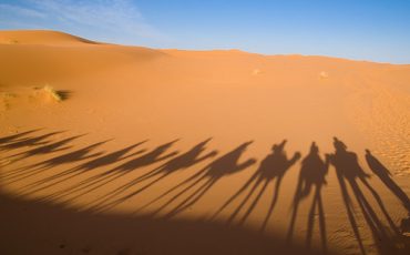 3 días Excursión desde Fez a Marrakech